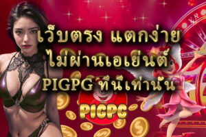 เว็บตรง แตกง่าย ไม่ผ่านเอเย่นต์ pigpg ที่นี่เท่านั้น